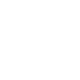 feature-item-1