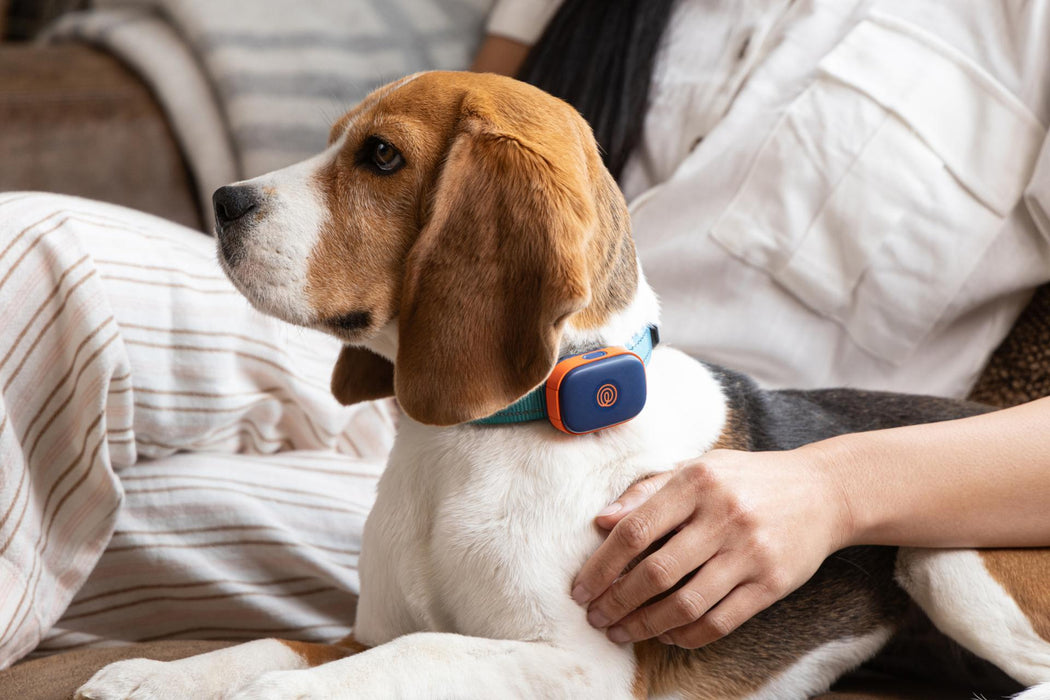 Elite GPS Dog Tracker