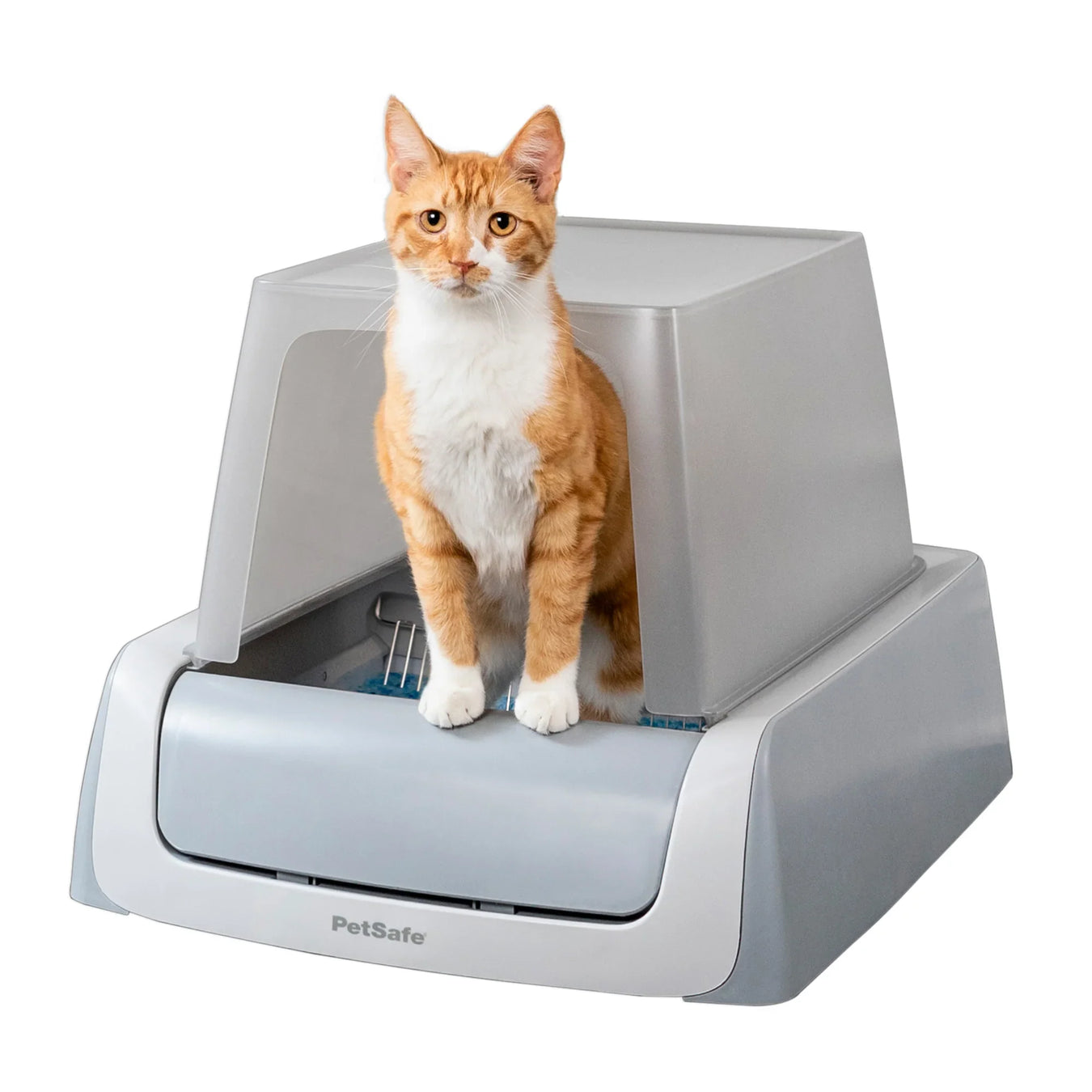 Automatic self cleaning  Cat Litter Trays