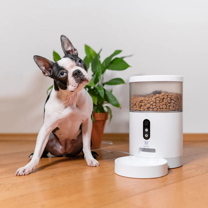 Automatic Dog Feeder