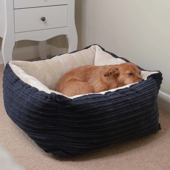 Cozy Cuddle Bolster Dog Bed