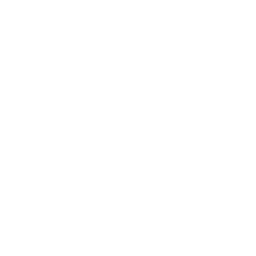 feature-item-4